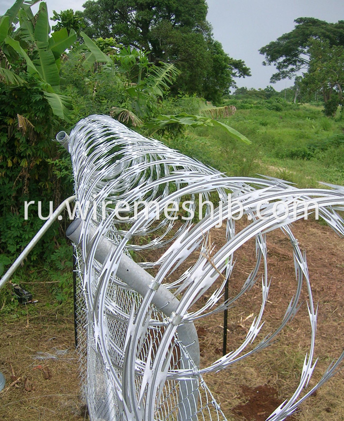 Hot-dip Galvanized Razor Wire